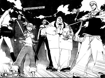 OH YEAH!!!!, vizard, bleach, anime, manga HD wallpaper