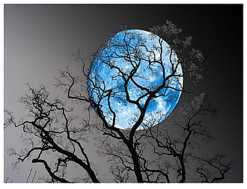 Blue moon, night, black, sky, dark, tree HD wallpaper