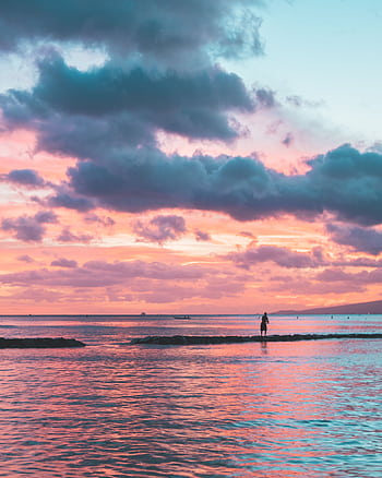 Serene beach landscape at sunset with pastel pink and blue skies reflecting on water. HD phone wallpaper