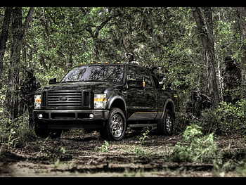 ford super cabelas fx4, ford, 4x4, cabelas, forest HD wallpaper