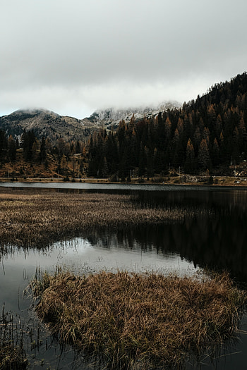 Nature, Trees, Mountains, Lake, Shore, Bank, Forest HD phone wallpaper