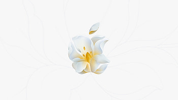 Apple Store Jing'an, Shanghai, China, technology, Apple Inc. HD wallpaper