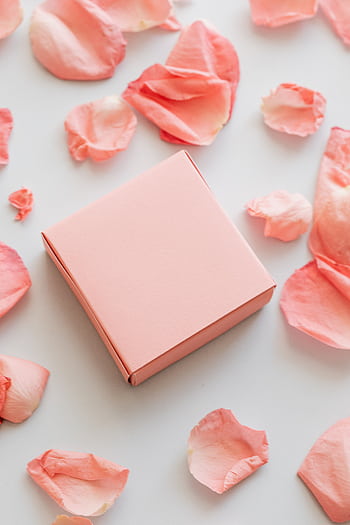 Elegant pink gift box surrounded by rose petals, ideal for romantic or festive themes. HD phone wallpaper