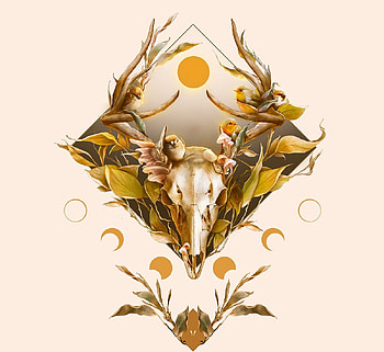 Death and life, patricia casarrubios, pasari, patcas, death, animal, bones, bird, art, skull, fantasy, life HD wallpaper