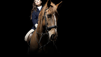 Equestrian , Horse , Riding scenes, Equestrian beauty HD wallpaper