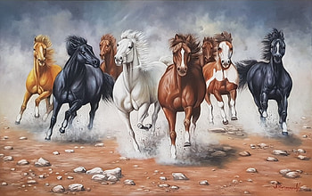 wild and , horse, rocks, wild, herd HD wallpaper