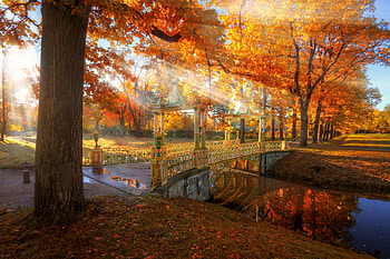 Autumn Park, Park, nature, Autumn, tree HD wallpaper