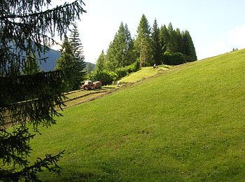 Fienagione prato alpino, fieno, alpine, farming, farm, maso, campagna, country, fienagione, hay, agricoltura, alpi HD wallpaper