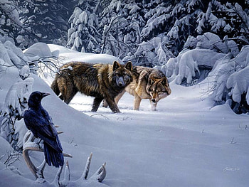 Winter Hunt, wolves, crow, snow, trees, deerskull HD wallpaper