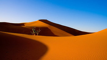 Diverse desert , Desert beauty in pixels, Stunning landscapes, collection HD wallpaper