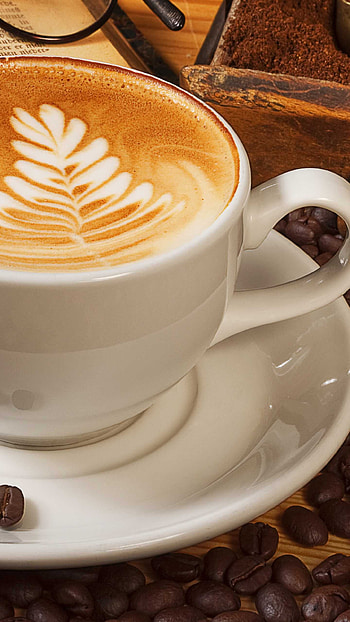 Sun-lit delight, bliss, Rays of energy, Caffeine companion HD phone wallpaper
