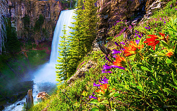 Tumalo Falls in Central Oregon, river, blossoms, colors, flowers, usa HD wallpaper