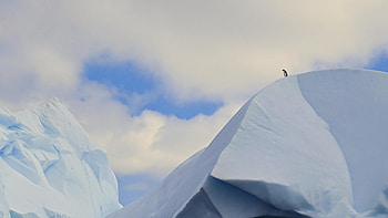 Antarctica Travels, Untouched wilderness, landscapes, Nature's grandeur HD wallpaper