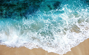 Summer vibes, Laptop , Beach and palm trees, Tropical paradise HD wallpaper