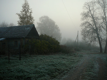 Nature, Trees, Road, Fog, House, Haze, Gloomy, Country, Countryside HD wallpaper
