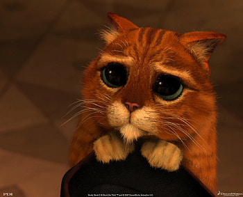 Shrek 3 - Cat, sad, cat, black hat HD wallpaper