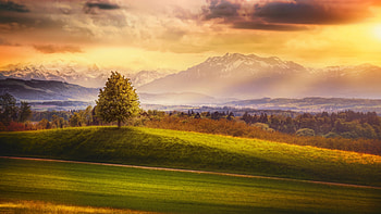 Sunrise in the Swiss Alps, mountains, Switzerland, clouds, landscape, trees, sky HD wallpaper