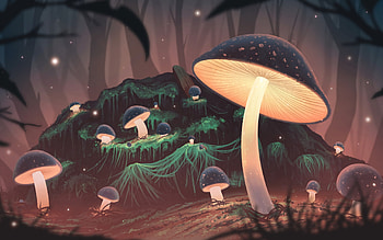 Mushrooms, fantasy, light, green, ciuperci, luminos, mushroom, forest, dark, orange HD wallpaper