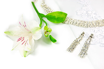Flower, Miscellanea, Miscellaneous, Diamonds, Earrings HD wallpaper