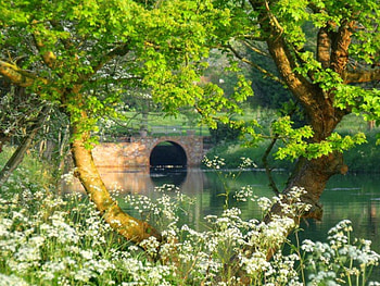 Boat house, river, boat, creek, serenity, nice, reflection, greenery, water, calm, pond, tranquility, house, beautiful, lake, summer, emerald, green, branches, nature, flowers, lovely, calmness HD wallpaper