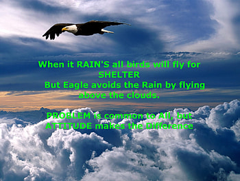 ATTITUDE, birds, quote, message, feather, idea, thought, cloud, population, sexy, bird, hot, rainy, colour, god, revolution, great, black, eagle, , beauty, problem, moon, sun, color, rain, entertainment, beautiful, people, sorrow, super, sad, wordings, fly, colourful, record HD wallpaper