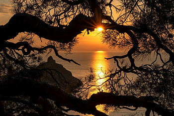 The Sun, rays, tree, evening, rock HD wallpaper