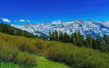 Sequoia National Park, California, trees, meadows, rocks, usa, sky HD wallpaper
