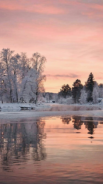 Winter, Winter Nature Background HD phone wallpaper