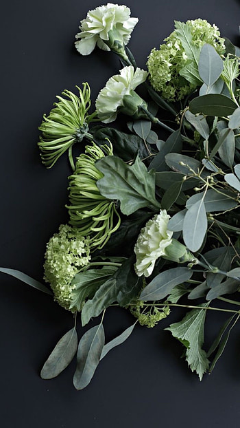 Green Aesthetic, Flowers HD phone wallpaper