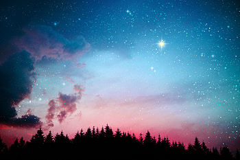 Galaxy Stars Lights Forest Night , galaxy, stars, sky, nature HD wallpaper