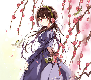 Pink eyes, blossom, outdoor, anime girl HD wallpaper