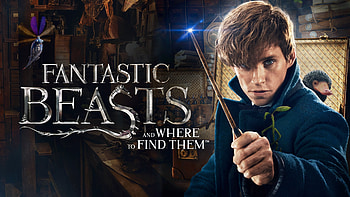 Fantastic Beasts, Ultra , , Background HD wallpaper
