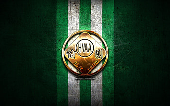 Happy Valley AA FC, golden logo, Hong Kong Premier League, green metal background, football, Hong Kong football club, HVAA, Happy Valley AA logo, HVAA logo, soccer, Happy Valley AA HD wallpaper