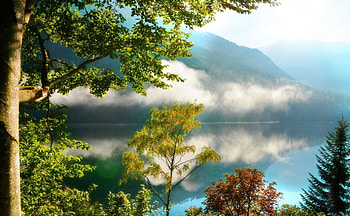 Sunrise on the Foggy River, river, foggy, trees, nature, mountains, sunrise HD wallpaper