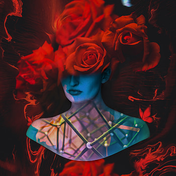 Girl, surreal, roses HD phone wallpaper