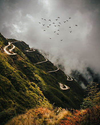 A dramatic view of a winding mountain road surrounded by lush greenery and a flock of birds under a cloudy sky. HD phone wallpaper