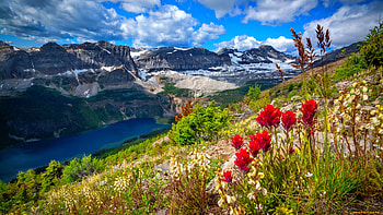 Landscape with mountain and lake, landscape, view, sky, mountain, lake, hills, slope, beautiful, rocks, wildflowers, summer HD wallpaper