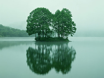 Landscape, Trees, Lakes HD wallpaper