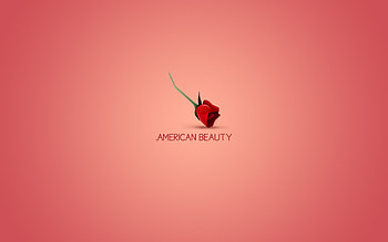 Flowers, Background, Roses HD wallpaper