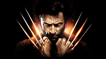 Kodi Background s HD wallpaper