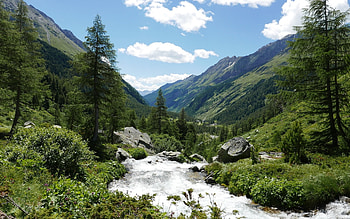 Mountain River, trees, clouds, river, mountains HD wallpaper