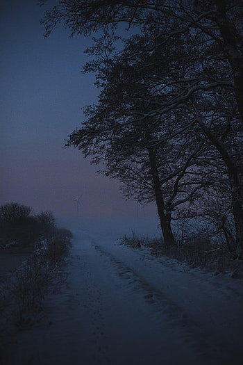 Winter, Nature, Trees, Twilight, Snow, Road, Dusk HD phone wallpaper
