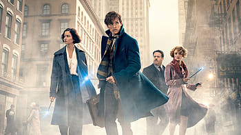 Newt Scamander, , Background , Alison Sudol HD wallpaper