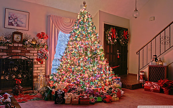 Holidays, New Year, Fir-Trees, Christmas, Xmas HD wallpaper