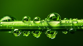 Background, Drops HD wallpaper