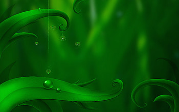 Plants, Background, Spiders HD wallpaper