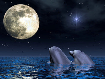 Under the moon, moon, 2011, 05, 11, the, undre HD wallpaper