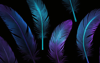 Neon Feathers On Dark Background, neon, feather, blue, purple HD wallpaper