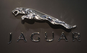 Jaguar Logo HD wallpaper
