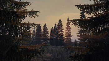 Sunset, video game, DayZ HD wallpaper